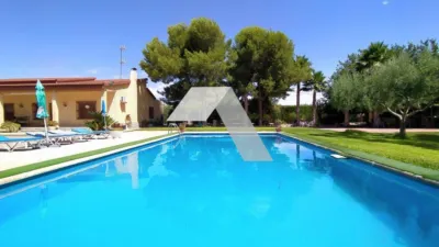 Chalet in Mutxamel photo 2