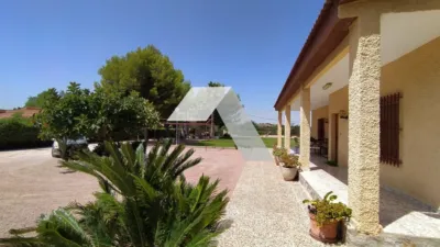 Chalet in Mutxamel photo 43