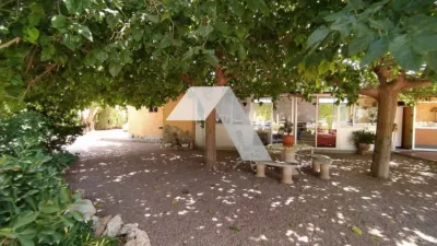 Chalet in Mutxamel photo 44