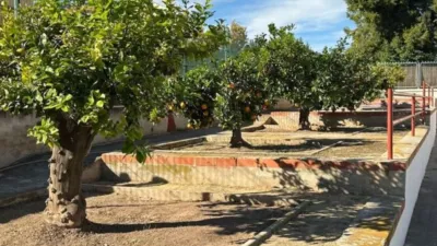 Casa – Sant Vicent del Raspeig - San Vicente del Raspeig - Vista 5