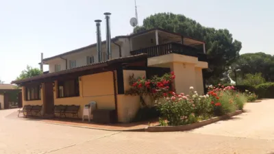 Chalet in Pinar de Antequera photo 18