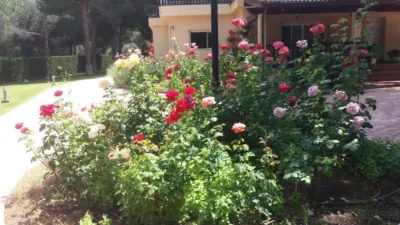 Chalet in Pinar de Antequera photo 24