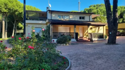 Chalet in Pinar de Antequera photo 2