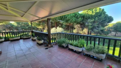 Chalet in Pinar de Antequera photo 58