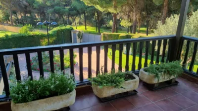 Chalet in Pinar de Antequera photo 59