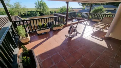 Chalet in Pinar de Antequera photo 60