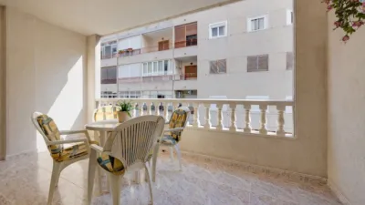 Pis – Torrevieja - Vista 2