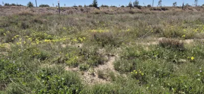 Terreno en venta en Elx - Vista 4