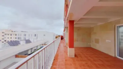 Apartment in Cas Capiscol photo 4
