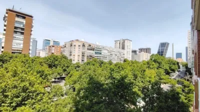 Apartment on Paseo de la Castellana photo 19