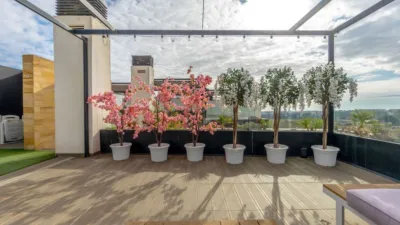 Ático en venta en Calle Molina, Los Dolses-Montezenia-Lomas de Cabo (Distrito Orihuela Costa. Orihuela) de 549.000 €