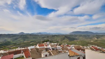 Terraced house at Calle del Olivillo, 7 photo 13