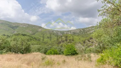 Rustic Finca in Chulilla photo 24