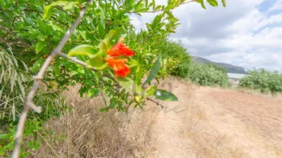 Rustic Finca in Chulilla photo 36