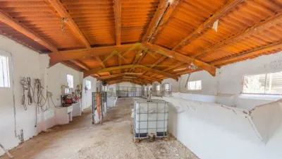 Rustic Finca in Chulilla photo 7
