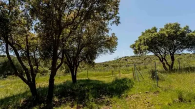 Finca rústica en venta en Calle Pino Alto Navarredonda, Valdemorillo de 1.180.000 €