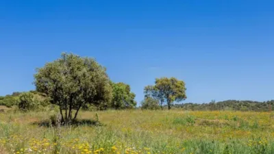 Finca rústica en venta en Calle Pino Alto Navarredonda, Valdemorillo de 1.180.000 €