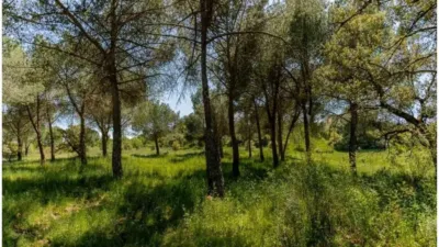 Finca rústica en venta en Calle Pino Alto Navarredonda, Valdemorillo de 1.180.000 €