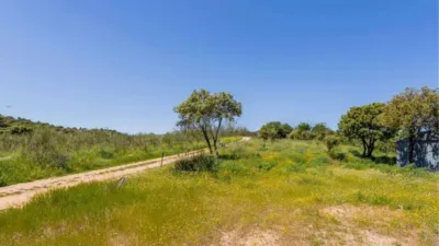 Finca rústica en venta en Calle Pino Alto Navarredonda, Valdemorillo de 1.180.000 €
