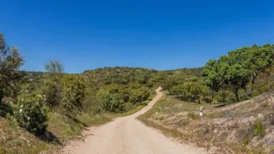 Finca rústica en venta en Calle Pino Alto Navarredonda, Valdemorillo de 1.180.000 €