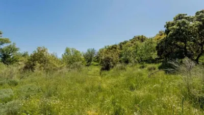 Finca rústica en venta en Calle Pino Alto Navarredonda, Valdemorillo de 1.180.000 €