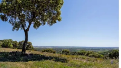 Finca rústica en venta en Calle Pino Alto Navarredonda, Valdemorillo de 1.180.000 €