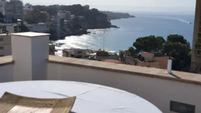 Penthouse in Sant Agustí photo 19