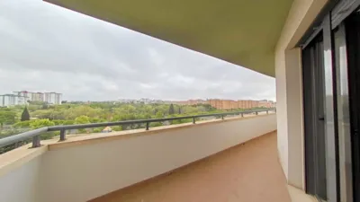 Apartment in Nou Alacant photo 2