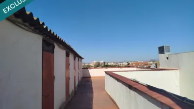 Apartment in Algezares photo 24
