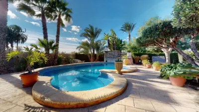 Casa – Elx - Elche - Vista 2