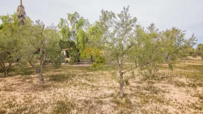 Rustic Finca in Peña de Las Águilas photo 36