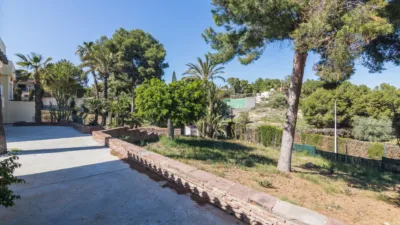 Casa – Elx - Elche - Vista 4