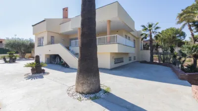 Casa – Elx - Elche - Més