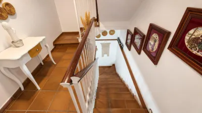 House in the Centre photo 10