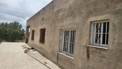 Casa – Elx - Elche - Vista 4