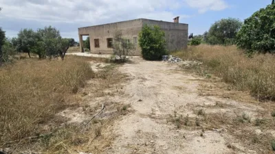 Casa – Elx - Elche - Vista 5