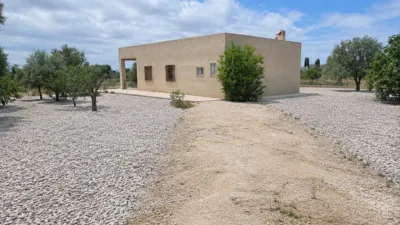 Casa – Elx - Elche - Més
