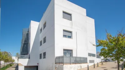 Apartment in Conil photo 39