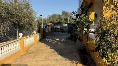 Rustic finca on Cortijo San Roque Street photo 13