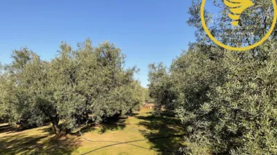Rustic finca on Cortijo San Roque Street photo 3