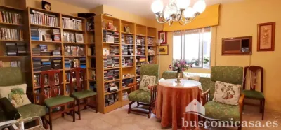 Flat on Calle de Canalejas photo 24