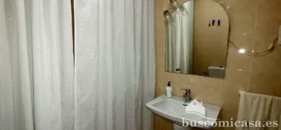 Flat on Calle de Canalejas photo 28