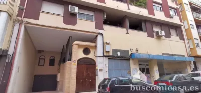 Flat on Calle de Canalejas photo 43