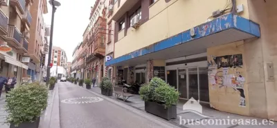 Flat on Calle de Canalejas photo 45