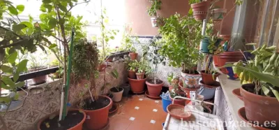 Flat on Calle de Canalejas photo 6
