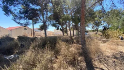 Rustic Finca in Las Trescientas - San Francisco photo 11