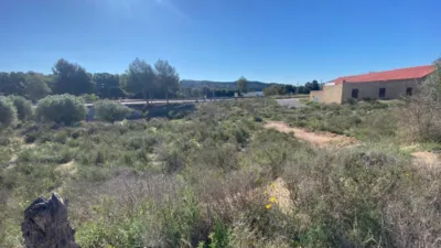 Rustic Finca in Las Trescientas - San Francisco photo 17