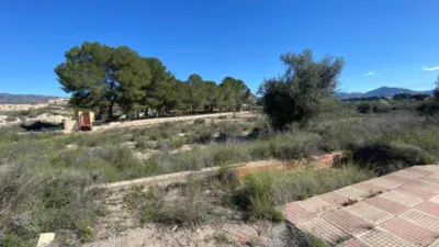Rustic Finca in Las Trescientas - San Francisco photo 21