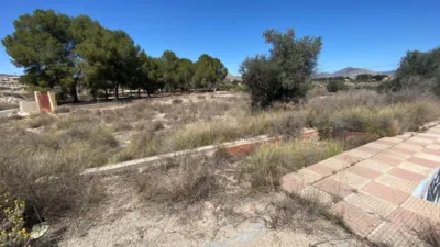 Rustic Finca in Las Trescientas - San Francisco photo 24