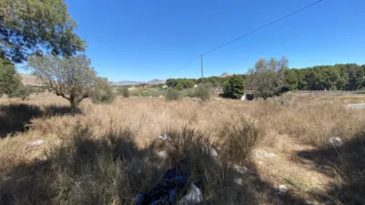 Rustic Finca in Las Trescientas - San Francisco photo 26
